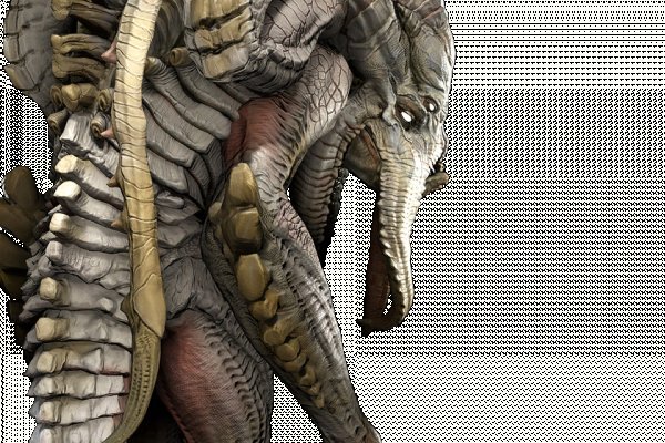 Kraken 19at