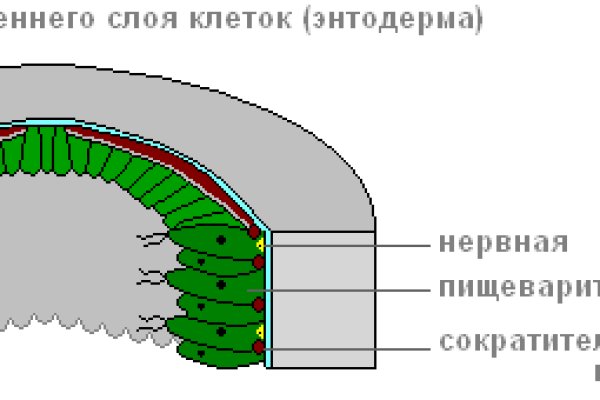 Что такое кракен магазин